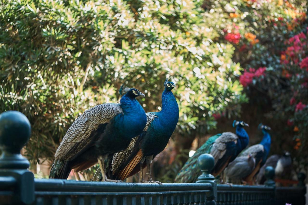ホテル マホロ ナスカ エクステリア 写真