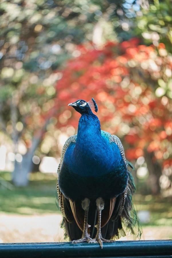 ホテル マホロ ナスカ エクステリア 写真